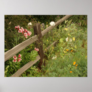 Affiche Copie de barrière de jardin