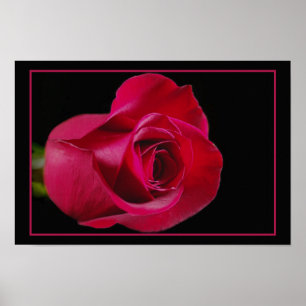 Affiche Copie de bourgeon de rose rouge