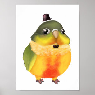 Affiche Copie de fantaisie de Conure