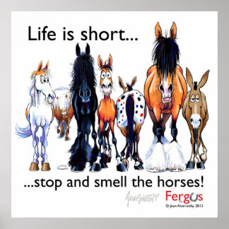 Affiche Copie de Fergus le cheval La vie est courte et