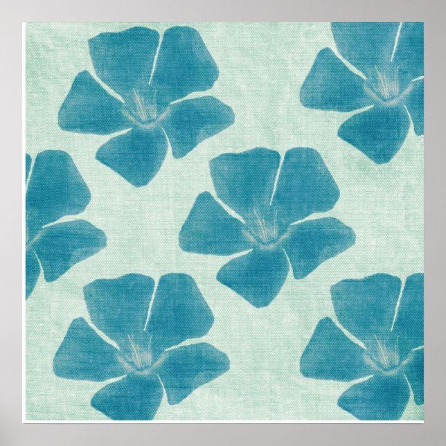 Affiche Copie de fleur de turquoise (Devant)