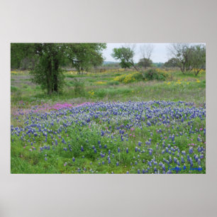 Affiche Copie de pays de colline du Texas