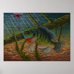 Affiche Copie de poisson de soleil