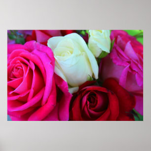 Affiche Copie de roses