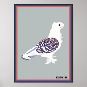 Affiche Copie de Satinette