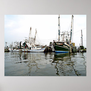 Affiche Copie de SHRIMPERS