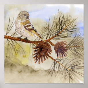 Affiche Copie de toile de Siskin de pin