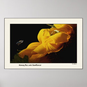 Affiche Copie de tournesol et d'abeille