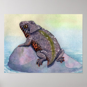 Affiche Copie de Triadobatrachus
