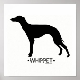 Affiche Copie de whippet