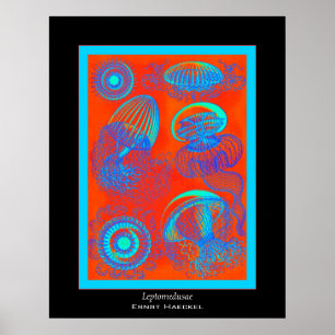Affiche Copie d'Ernst Haeckel de ~ de Leptomedusae
