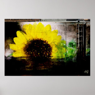 Affiche Copie d'image de tournesol