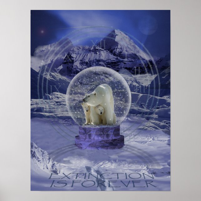 Affiche Copie du Globe de neige de l'ours polaire (Devant)