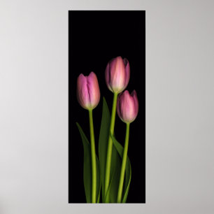 Affiche Copie rose de trio de tulipe