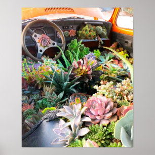 Affiche Copie succulente d'affiche de voiture