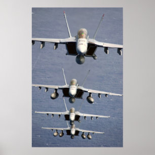 Affiche Copie superbe de 4 frelons FA-18
