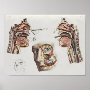 Affiche Copie vintage d'anatomie de technique Médicale de