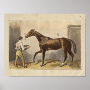 Affiche Copie vintage de cheval Thormanby 1873