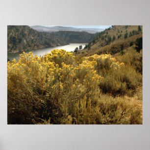 Affiche Copies colorées de brosse de canyon du Colorado