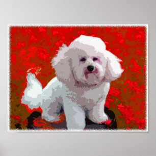 Affiche Copies d'art de bruit de Bichon Frise