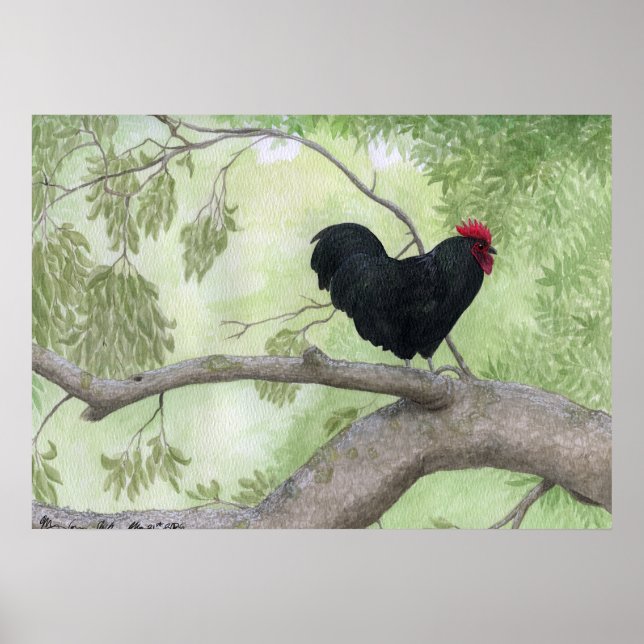 Affiche Coq Cogburn (Devant)