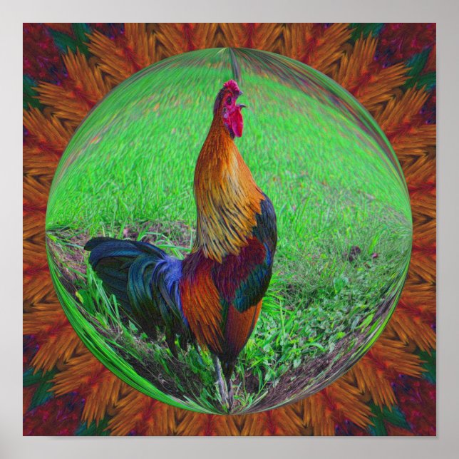 Affiche Coq Crowing Abstrait Nature Art (Devant)