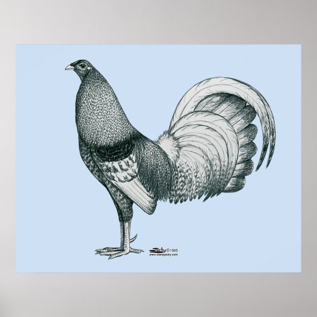 Affiche coq de combat Crele ou Dom (Devant)
