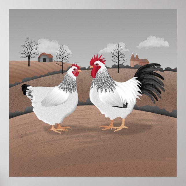 Affiche Coq et Poule (Devant)