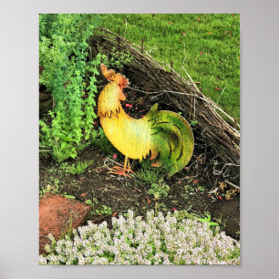 Affiche Coq jaune et vert