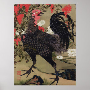 Affiche Coq noir et Nandin par Ito Jakuchu