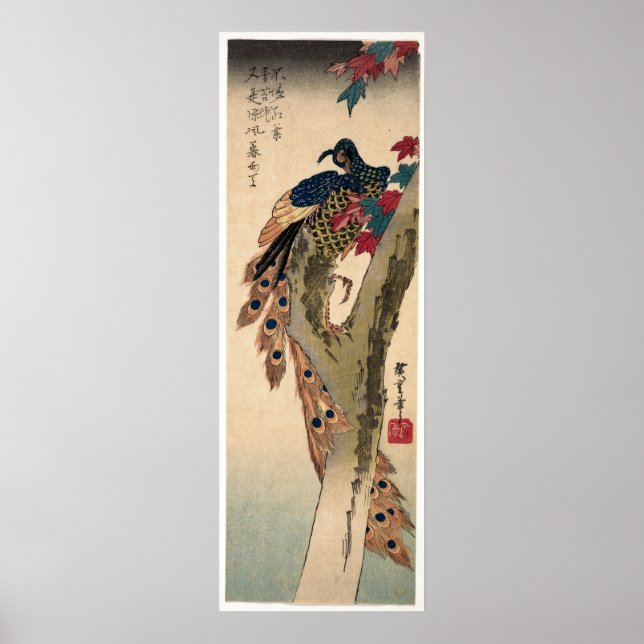 Affiche Coq perché sur un érable (Devant)