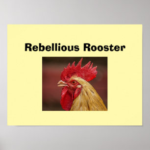Affiche Coq rebelle
