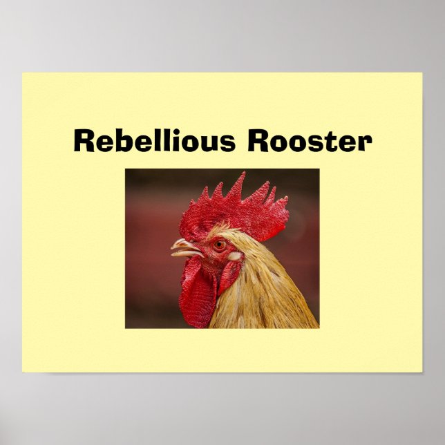Affiche Coq rebelle  (Devant)