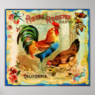 Affiche Coq royal vintage de la Californie