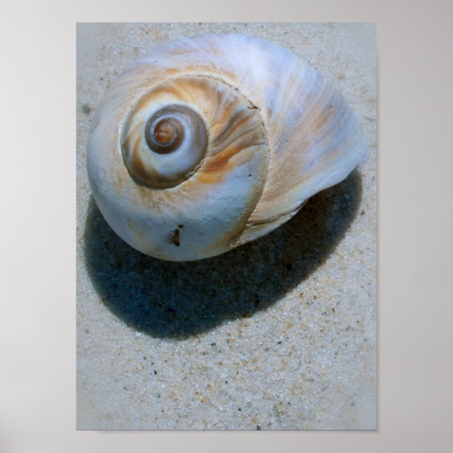 Affiche coque (Devant)