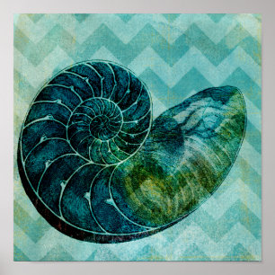 Affiche Coque spirale Turquoise