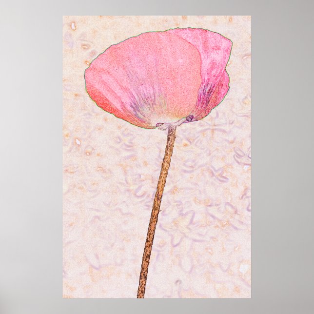 Affiche Coquelicot rose bonbon...affiche (Devant)