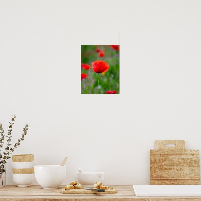 Affiche Coquelicot rouge vibrant dans une prairie de fleur (Cuisine)