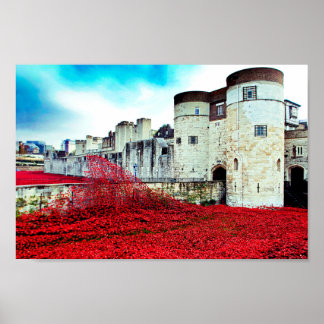 Affiche Coquelicots de la Tour de Londres Coquelicot Rouge