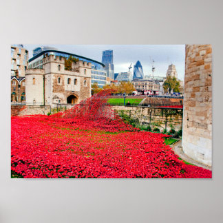 Affiche Coquelicots de la Tour de Londres Coquelicot Rouge