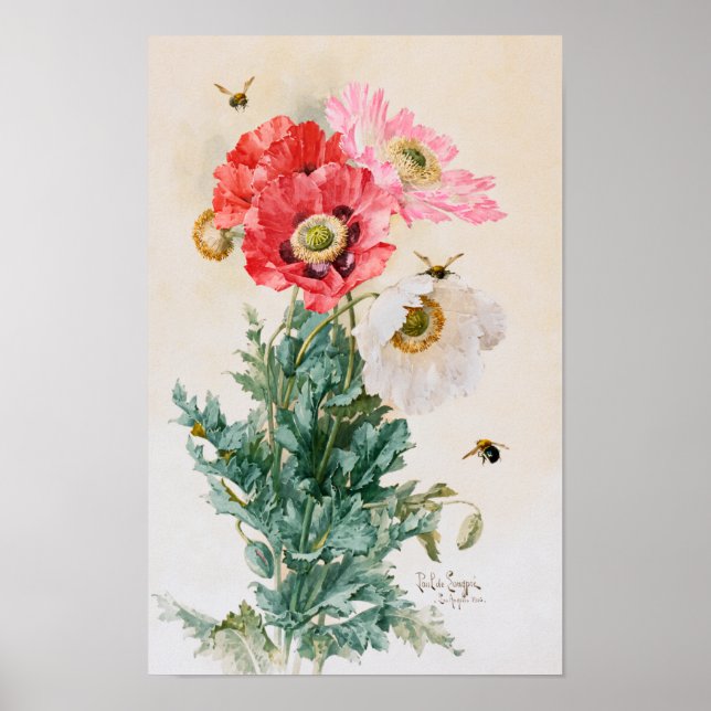 Affiche Coquelicots et abeilles par Paul de Longpré (Devant)