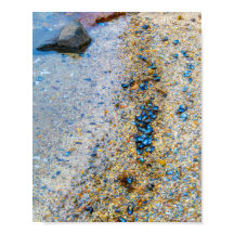 Coques de moules dans le Maine