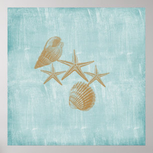 Affiche Coques de plage