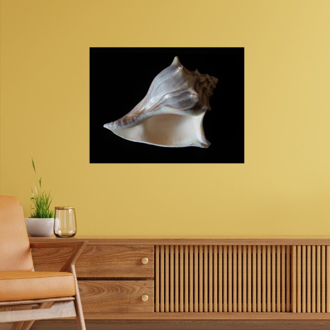 Affiche Coquillage (Salon 2)