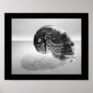 Affiche Coquillage noir et blanc Tropical Printable Art