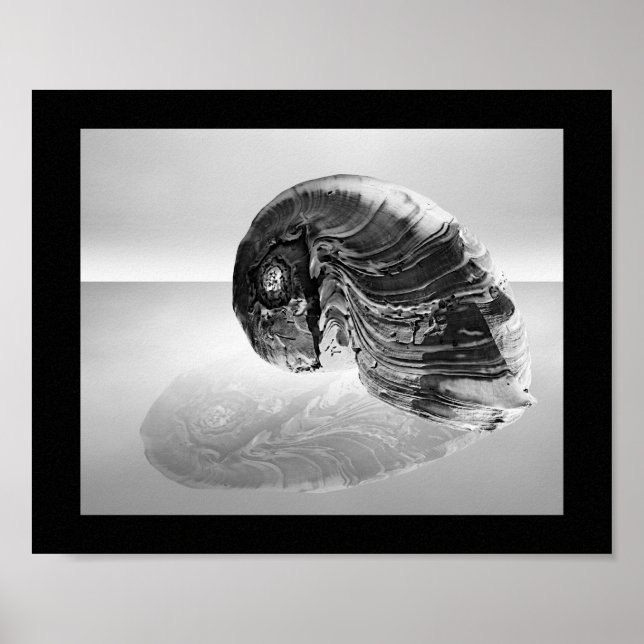 Affiche Coquillage noir et blanc Tropical Printable Art (Devant)
