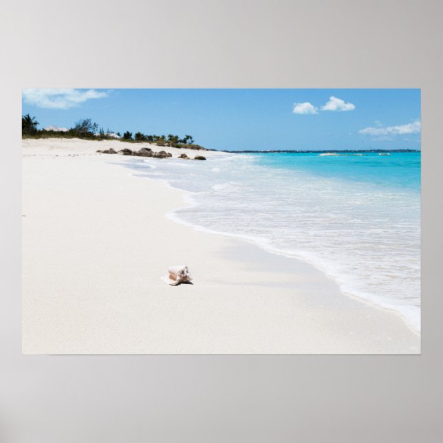 Affiche Coquillage sur la plage (Devant)