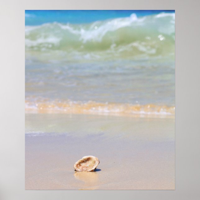 Affiche Coquillage Sur La Plage | Cabo Verde (Devant)