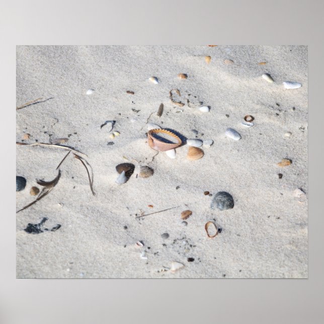 Affiche Coquillages dans la couleur de sable 16x20 (Devant)