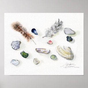 Affiche Coquillages Galets et Plumes Aquarelle